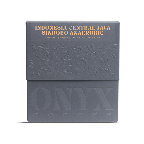 Indonesia Central Java Sindoro Anaerobic